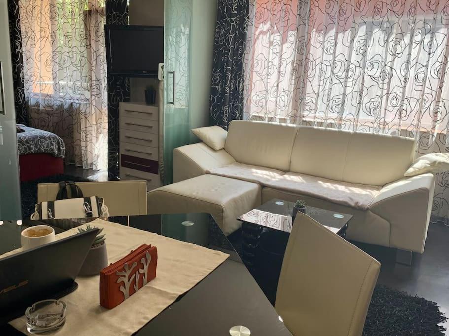Lovely Sofia Apartment Katerina With Free Parking מראה חיצוני תמונה