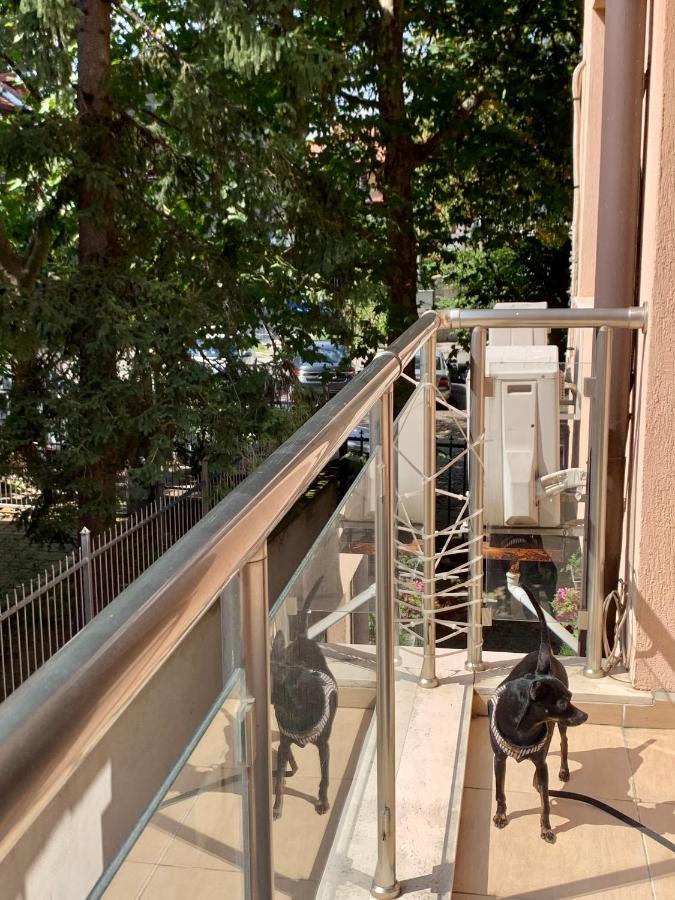 Lovely Sofia Apartment Katerina With Free Parking מראה חיצוני תמונה