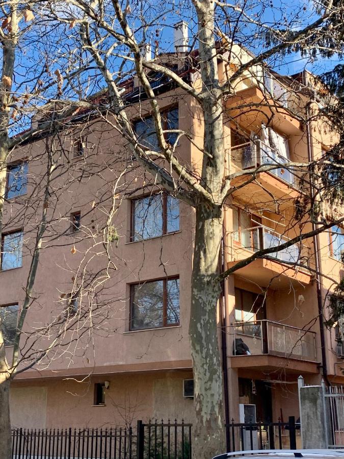 Lovely Sofia Apartment Katerina With Free Parking מראה חיצוני תמונה